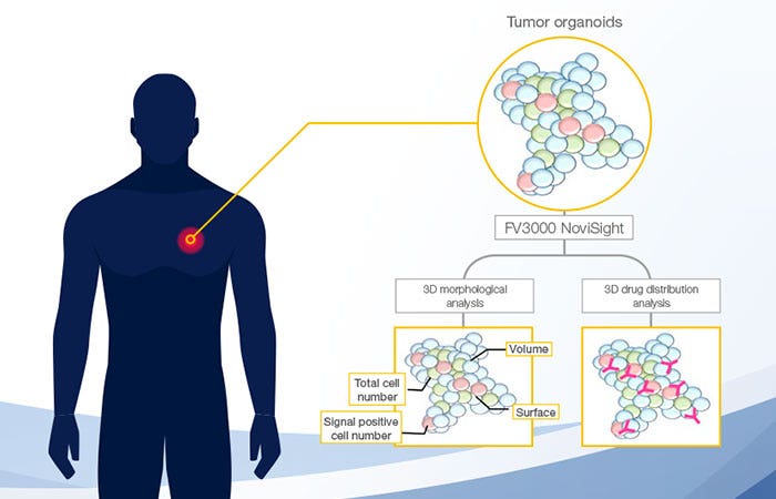 Graphical Abstract