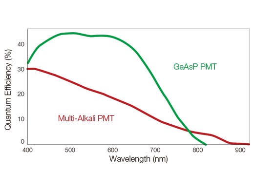 The GaAsP photomultiplier tube (PMT) incorporates up to four channels with 45% maximum quantum efficiency