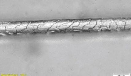 scales on the wool fiber are clearly visible