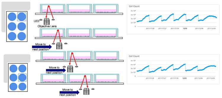 Fig.1 CM20 can automatically measure quantitative data during passage of cells seeded in six-well plate