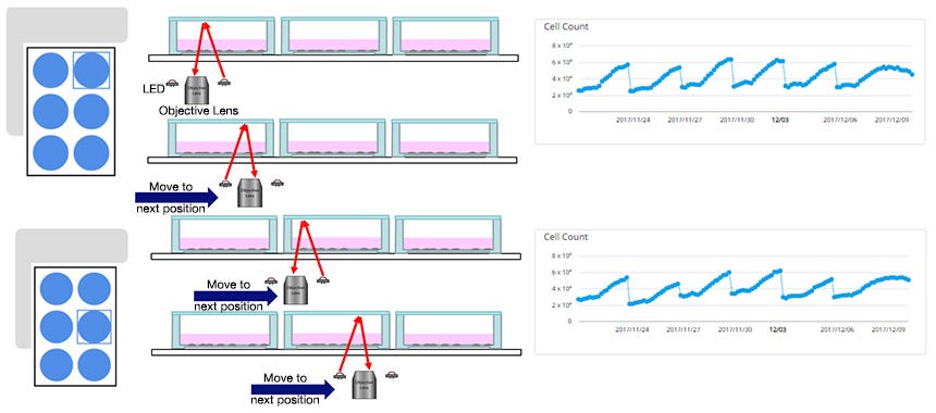 Cell Quality Evaluation with the CM20 Incubation Monitoring System ...