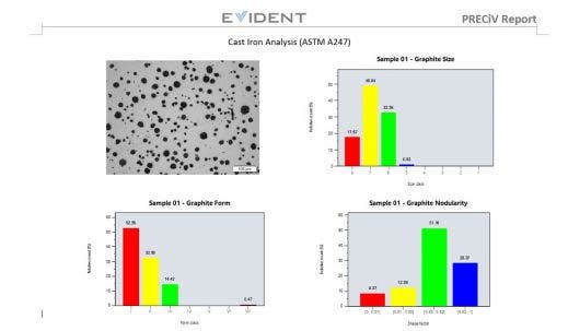 Example of an automatically generated report including relevant images and analysis results