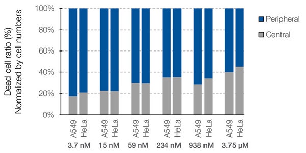 Figure 7. Difference in drug responsiveness between the central and peripheral regions