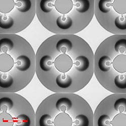 Shape Evaluation of Photomask Lens Arrays Molded with a Gray-Scale Mask ...