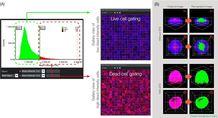 Figure 5: Graphical analysis for cell classification.