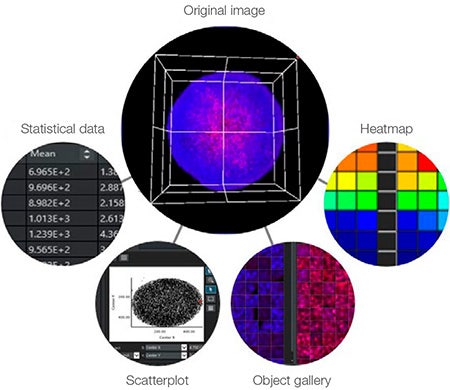 Figure 7: NoviSight software can display the same point on the corresponding image when you click on a data point or object.