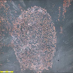 2A Fingerprint Copper wiped with wool