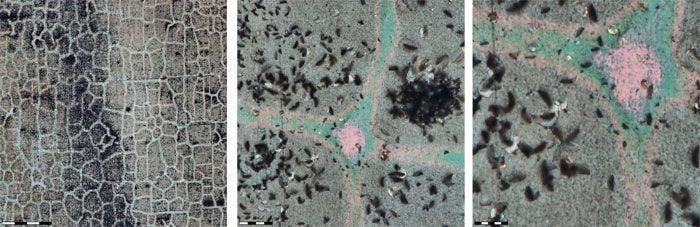 Fig4-visualising-copper-corrosion-x150-x2000-x4000