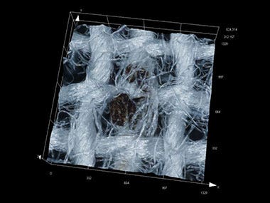 Foreign Matter Entangled in Fibers