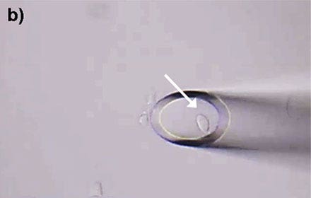 Figure 4: HeLa cells* can be selectively isolated by the MMI CellEctor. b) Using the Shake Mode, the microscope stage rotates and pushes the cell towards the micro-capillary, which causes the cell to detach from the cell chamber. The cell can then selectively be aspirated.