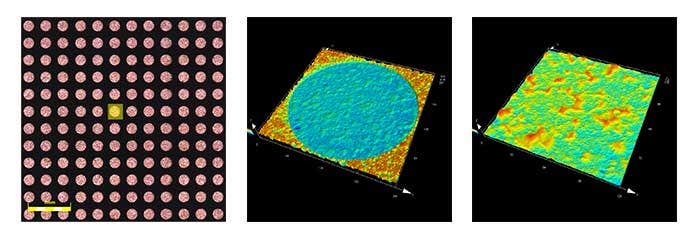 High resolution images of the top surface of a copper post on an integrated circuit