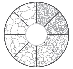 Example of a microscope eyepiece reticle used to compare the grain against a live image