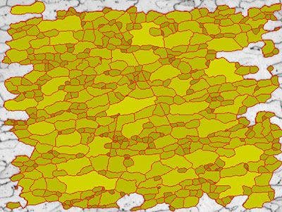 Grain boundary detection using "Grain Separation" function