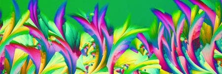 IOTY 2022 materials science winning image showing the crystal of callus remover