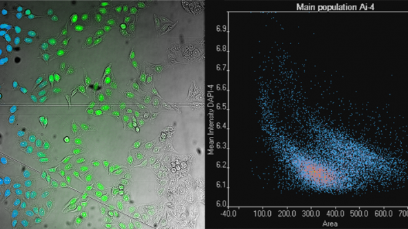 Deep Learning: Opening Doors to New Applications