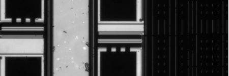 Transmission IR image of a semiconductor chip