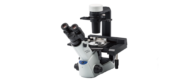 CKX53 Compact Cell Culture Microscope | Evident Scientific | Olympus