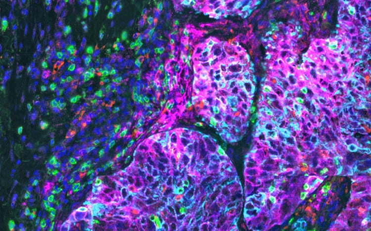 A close-up of a microscope AI-generated content may be incorrect.