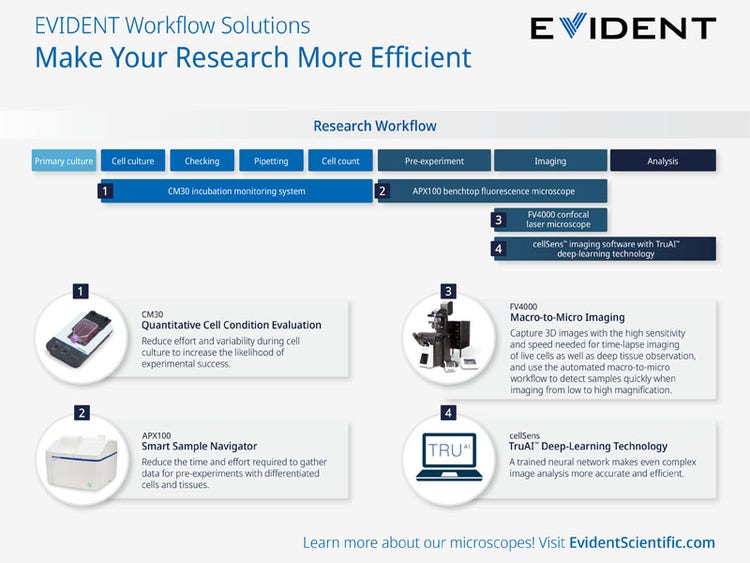 Workflow solutions to make your research more efficient