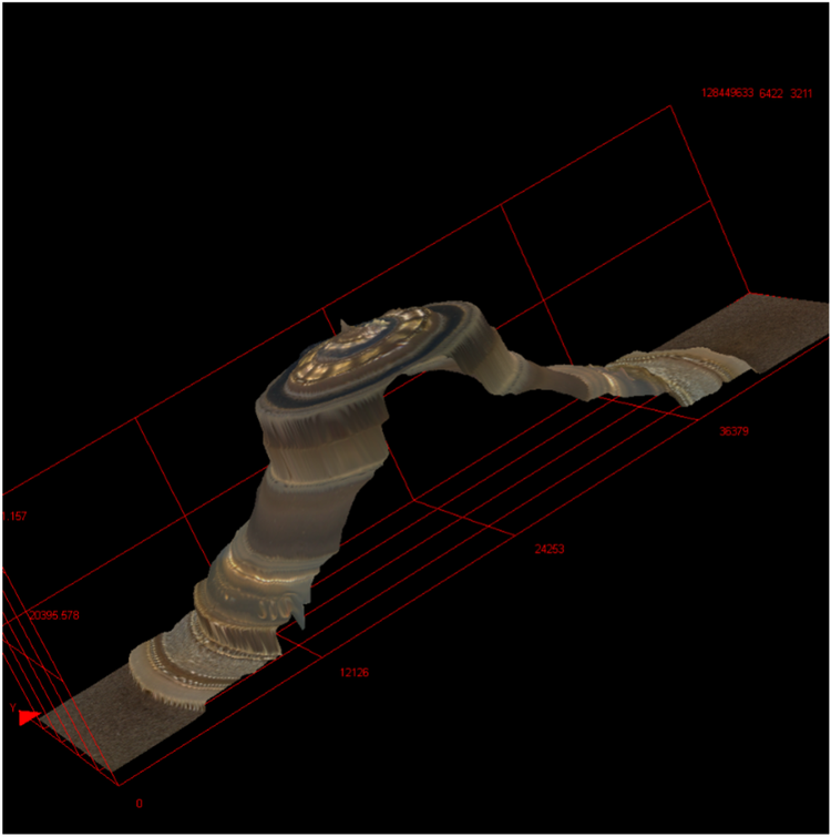 Profile measurement of a baby bottle nipple using the DSX 1000 digital microscope