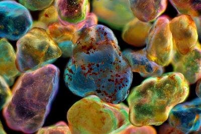 Grains of sand from Erg Chebbi under a microscope