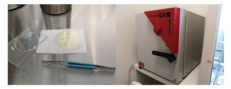 Sample filter for an oil cleanliness analysis