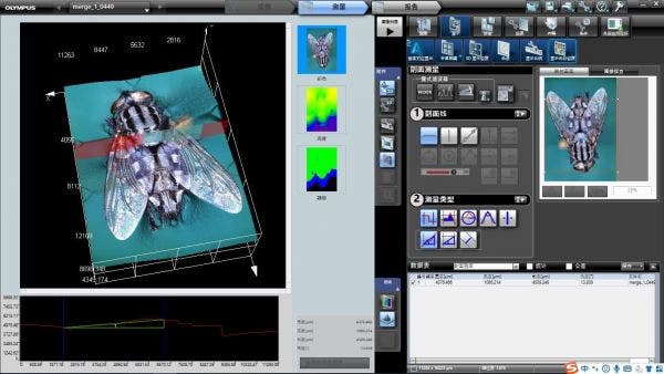 3D observation of flies for medical entomology