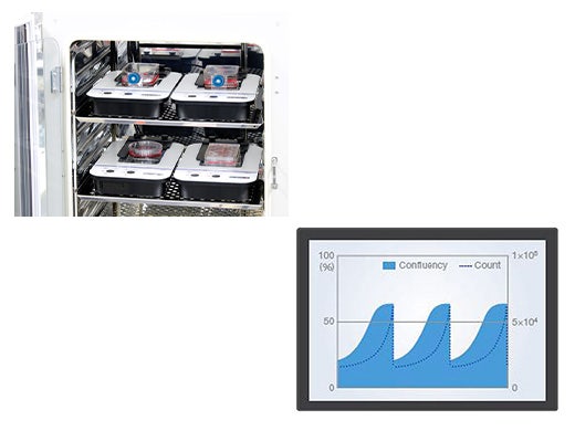 Cell cultures on CM30 incubation monitoring systems