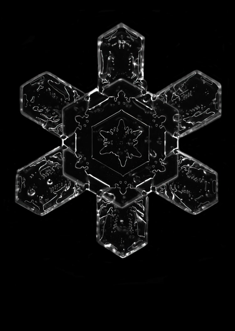 Snowflake crystal imaged using darkfield illumination