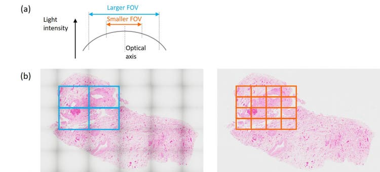 field of view microscope