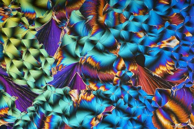 The melting of paracetamol and urea captured under polarized light