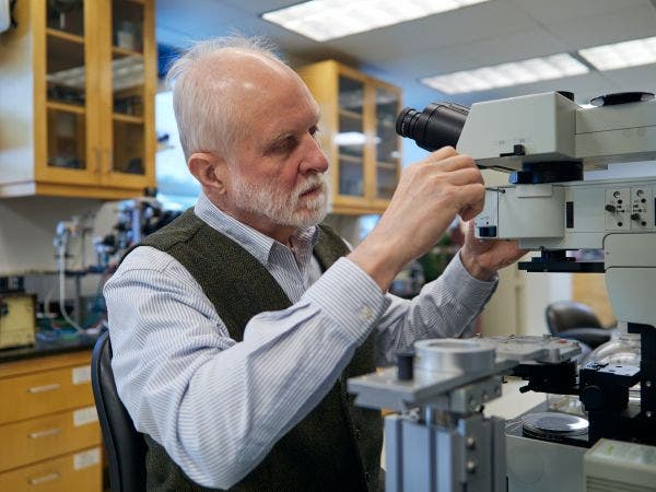 Hearing research using microscopy