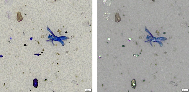 Verification of a nonmetallic particle in a technical cleanliness inspection