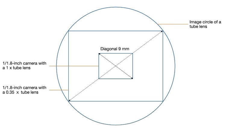 Microscope camera sensor and tube lens