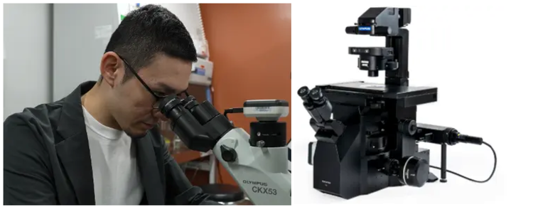 Dr. Takasuke Yoneyama uses a CKX53 compact cell culture microscope IXplore IX85 motorized inverted microscope platform
