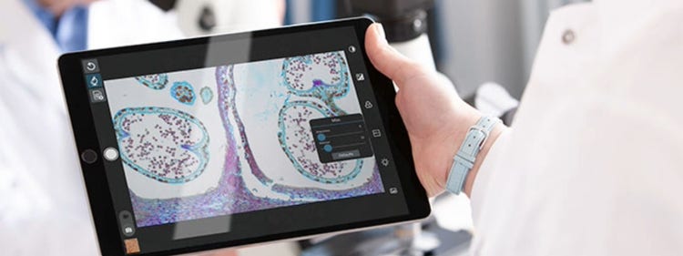 august-2020-janeen-manning-banner.jpg, 画像