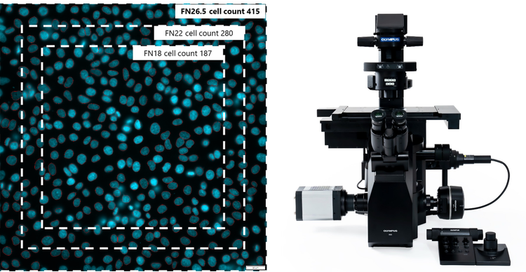 Left: Increasing the field number increases the cell count. Right: IXplore IX85 motorized inverted microscope platform.