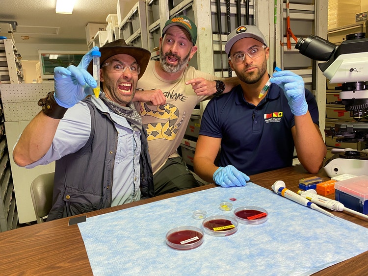 Still from Brave Wilderness YouTube video on mixing snake venom and human blood under the microscope starring Coyote Peterson, Mario Aldecoa and Dr. Hunter Hines