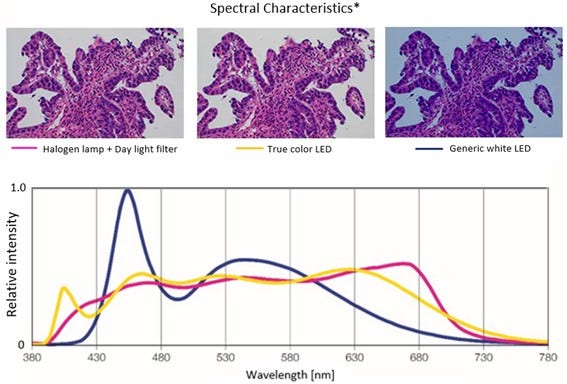 Spectral characteristics of halogen lamps vs. LEDs