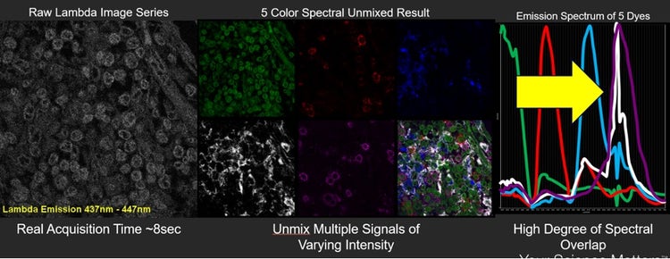 Spectral “lambda scan” of COS-7 cells yields clear separation of highly overlapping signals