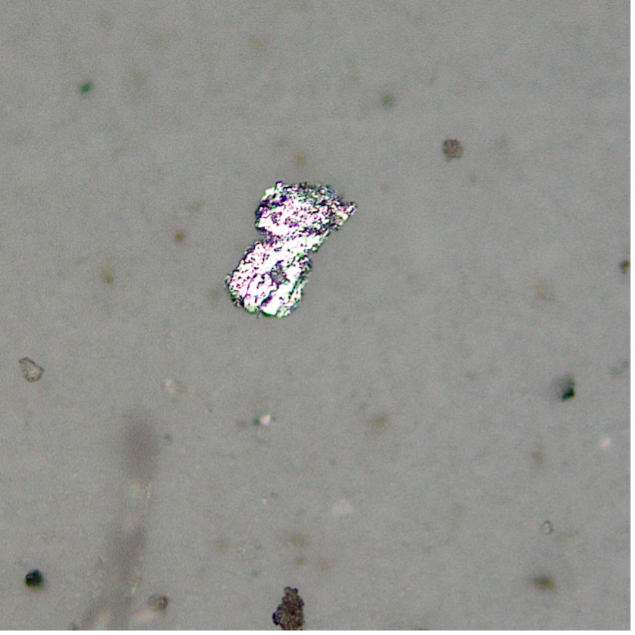 Metallic particle found during a contamination analysis