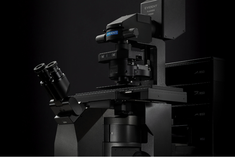 FLUOVIEW FV5000 confocal and multiphoton laser scanning microscope
