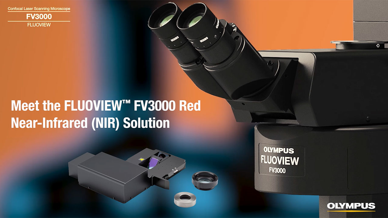 その他 Analyzer mini ifp3000 その他 Analyzer mini ifp3000 その他 Analyzer mini ifp3000 Analyzer