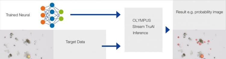 Deep learning workflow for industrial image analysis