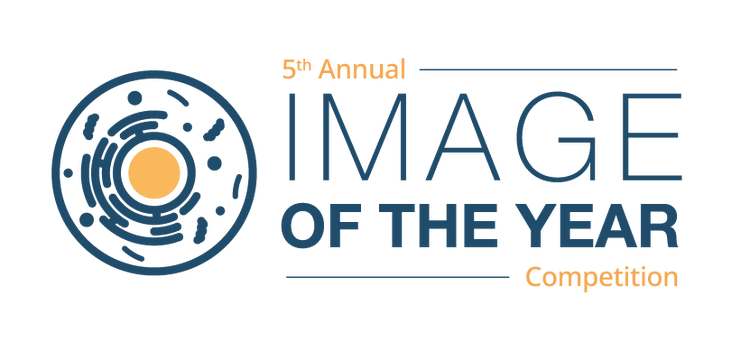 Image of the Year Logo