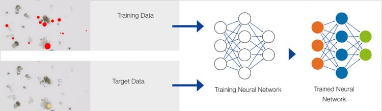 Deep learning workflow for industrial image analysis