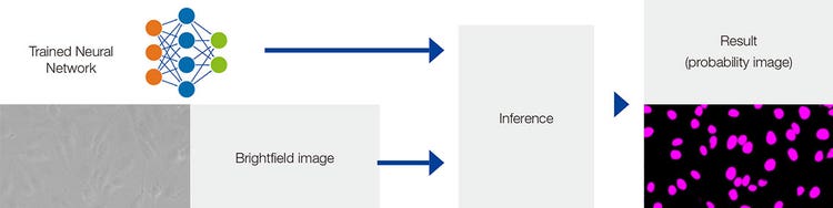 Figure6