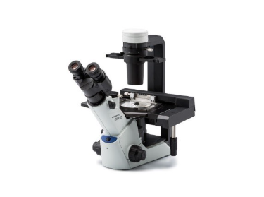 CKX53 cell culture microscope