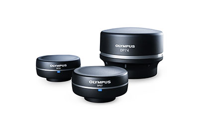 Real-Time Panoramic Imaging with cellSens® Software | Olympus LS