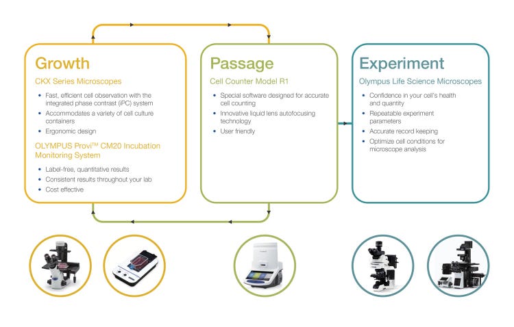 Optimizing the Cell Culture Process